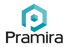 Pramira Inc